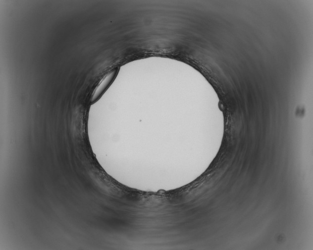 X0000101201058200807251020