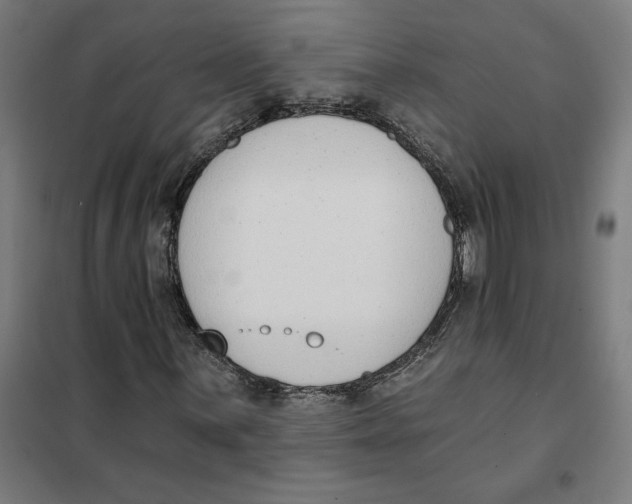 X0000101201059200807251020