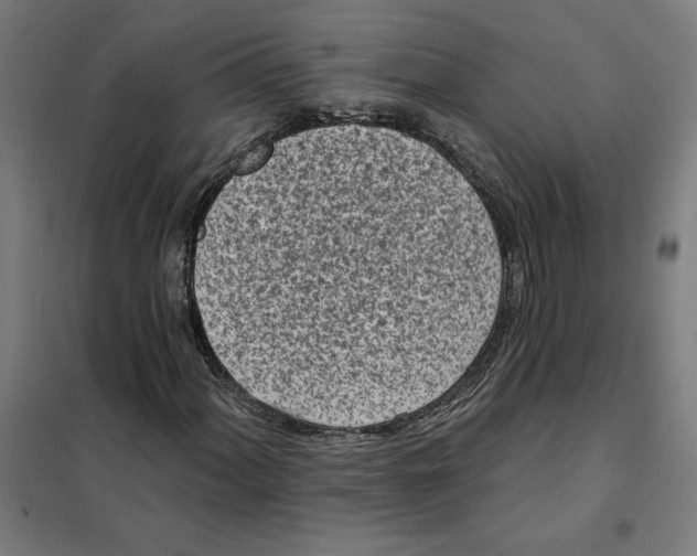 X0000101201060200807251020