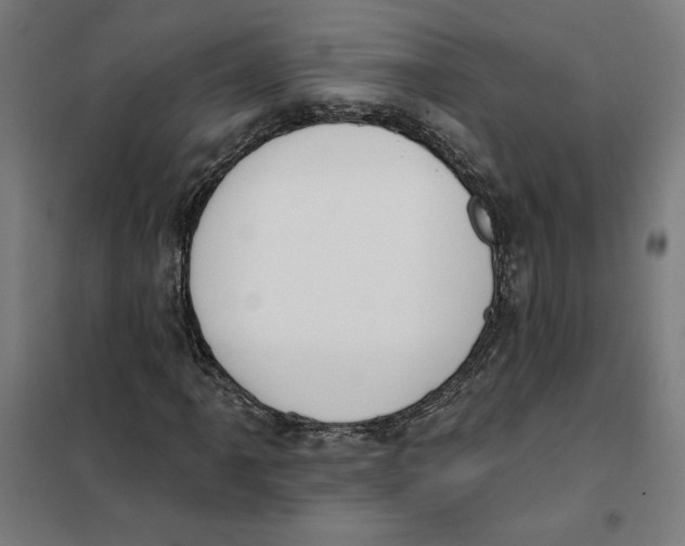 X0000101201061200807251020