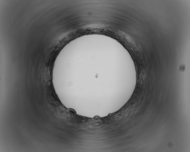 X0000101201062200807251020