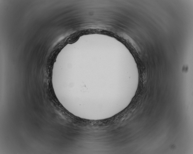 X0000101201064200807251020