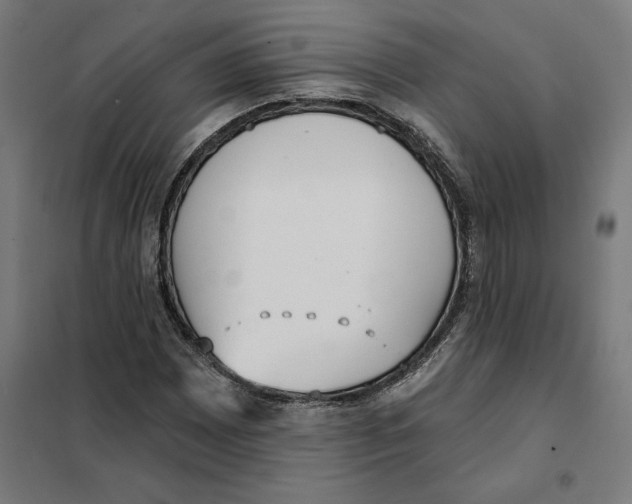 X0000101201065200807251020