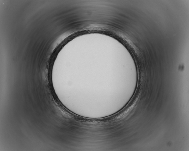 X0000101201066200807251020