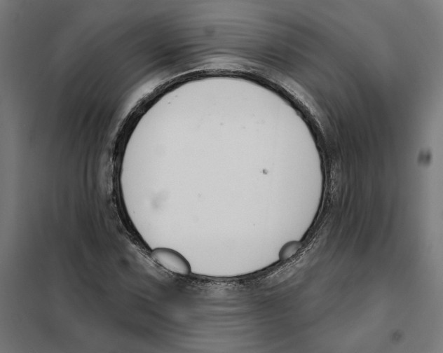 X0000101201067200807251020