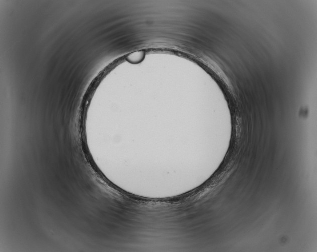 X0000101201068200807251020