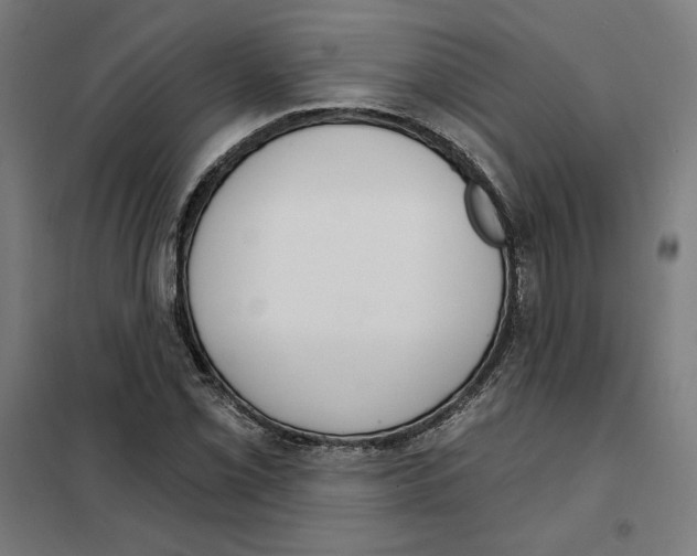 X0000101201069200807251020