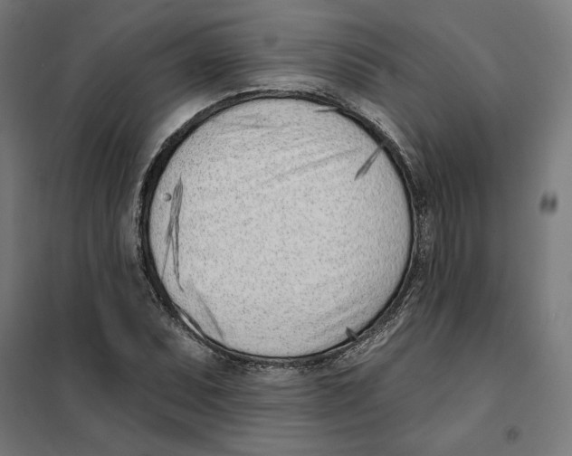 X0000101201071200807251020