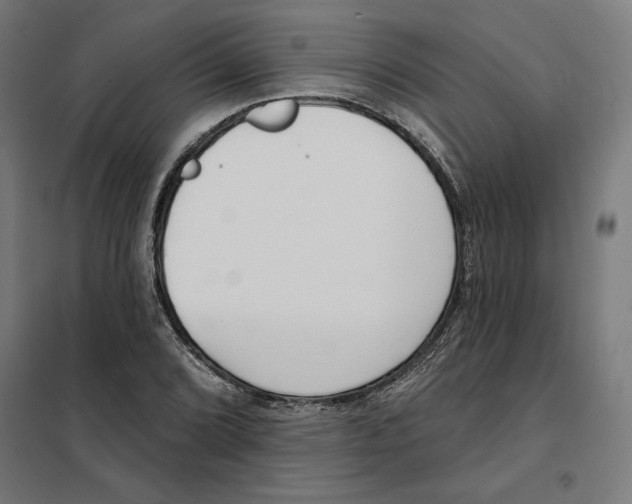 X0000101201072200807251020