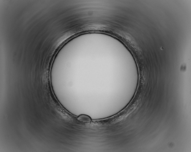 X0000101201073200807251020