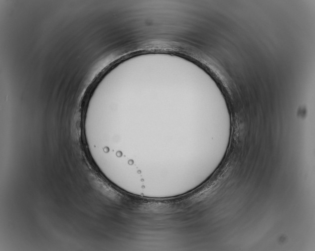 X0000101201075200807251020