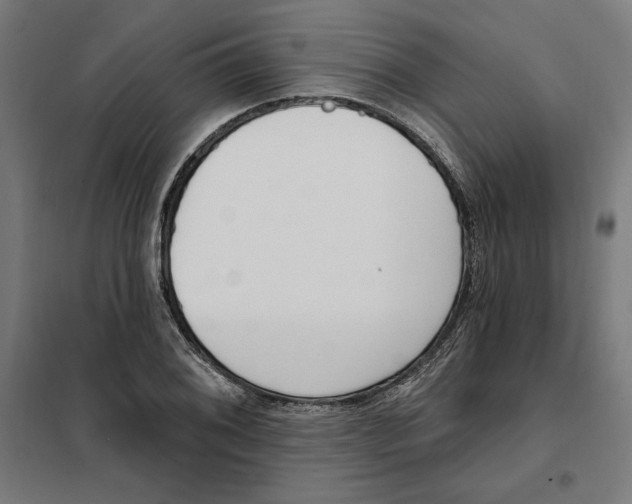 X0000101201076200807251020