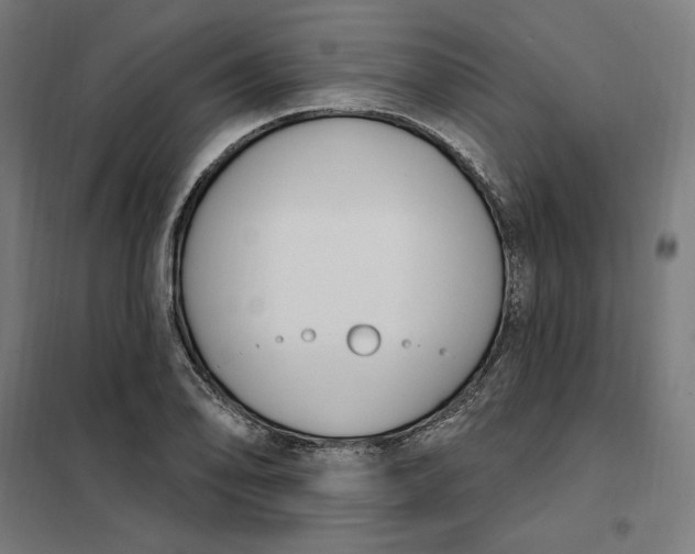 X0000101201078200807251020