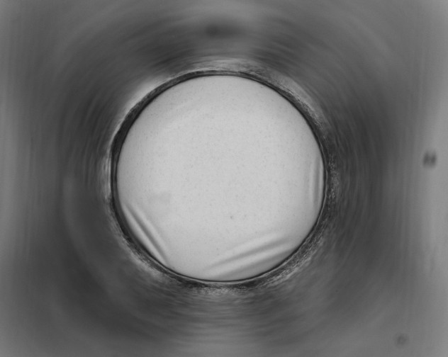 X0000101201079200807251020