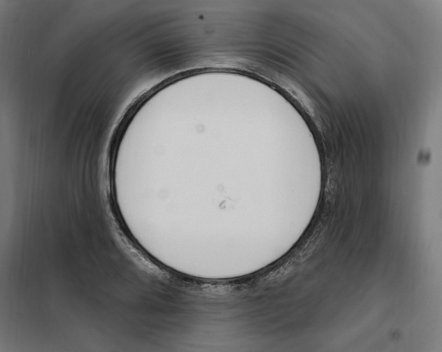 X0000101201080200807251020