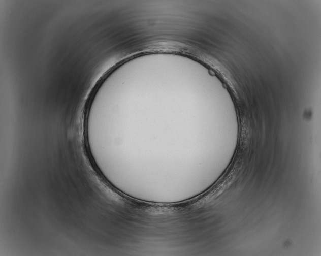 X0000101201083200807251020