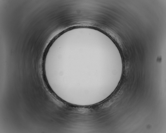 X0000101201085200807251020