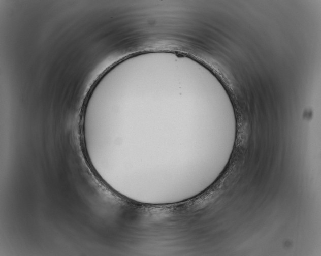 X0000101201086200807251020