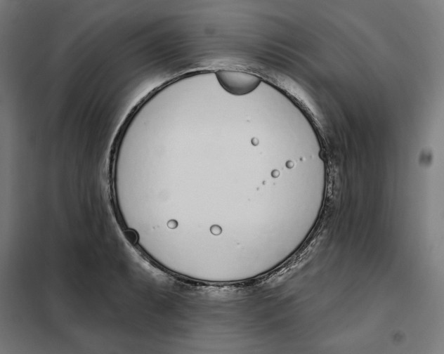 X0000101201087200807251020