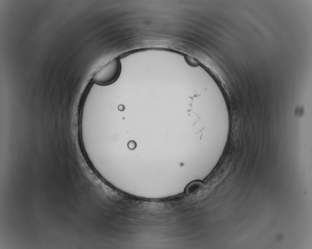 X0000101201088200807251020