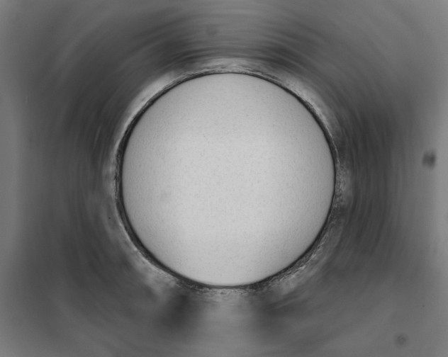 X0000101201090200807251020