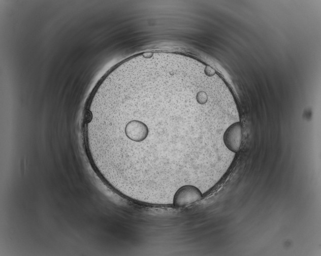 X0000101201091200807251020