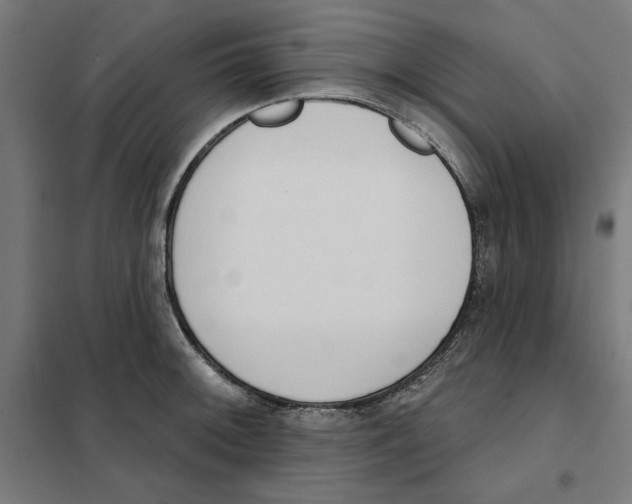 X0000101201092200807251020