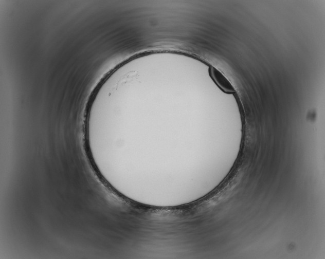 X0000101201093200807251020