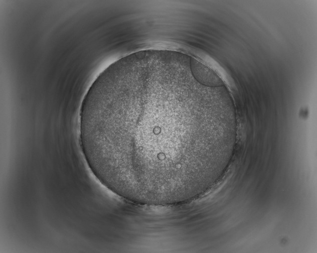 X0000101201095200807251020