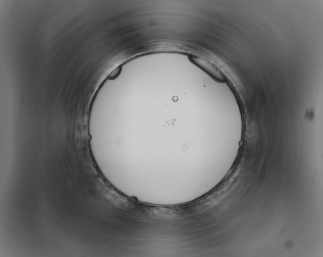 X0000101201097200807251020