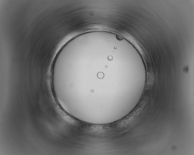 X0000101201098200807251020