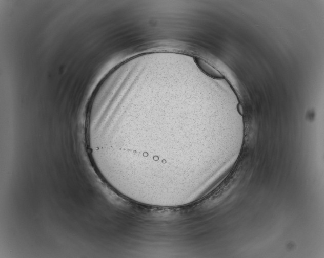 X0000101201099200807251020