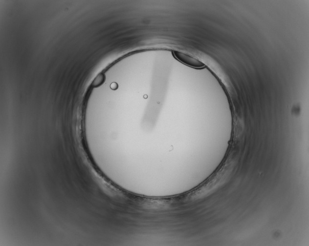 X0000101201101200807251020