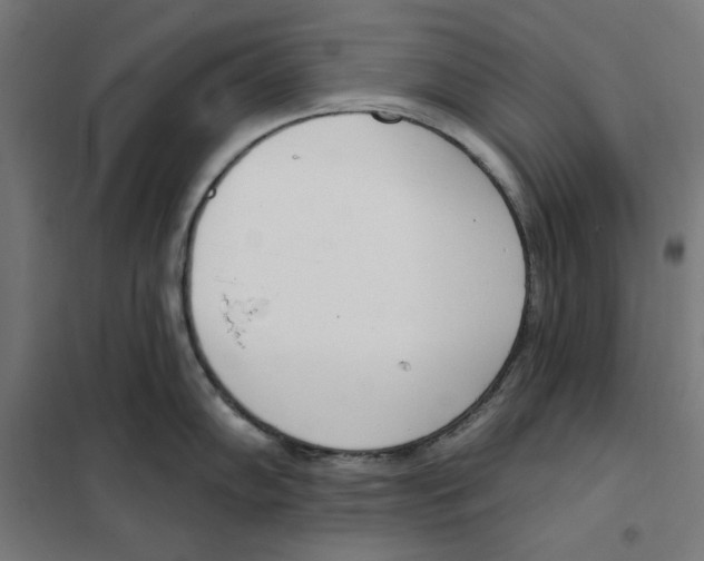 X0000101201102200807251020