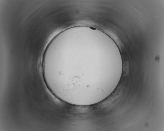 X0000101201103200807251020