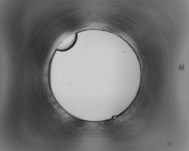 X0000101201104200807251020