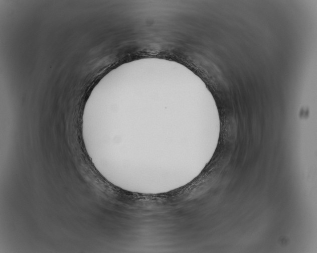 X0000101201105200807251019