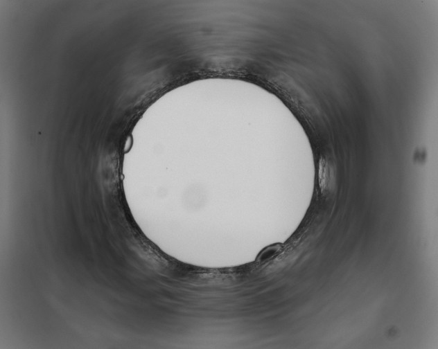 X0000101201107200807251019