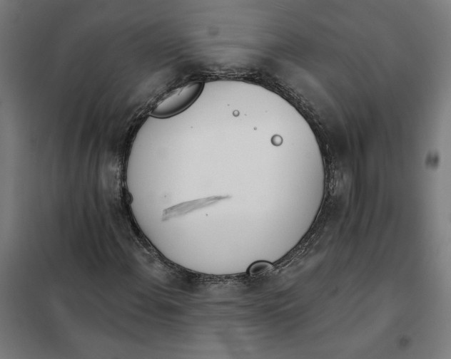 X0000101201108200807251019