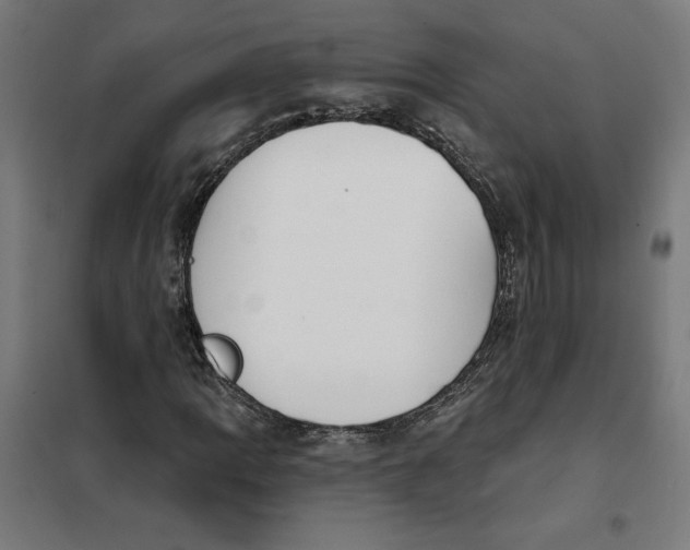 X0000101201109200807251019