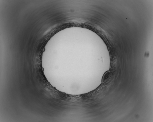 X0000101201110200807251019