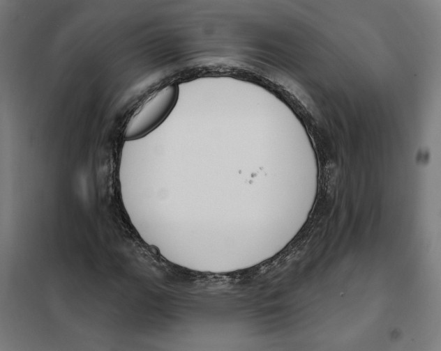 X0000101201111200807251019