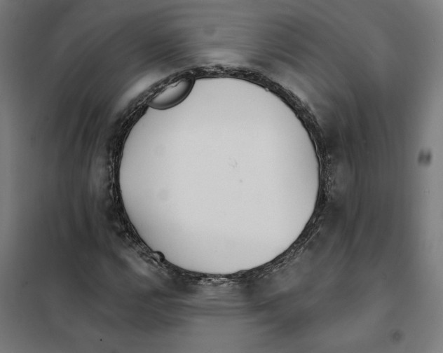 X0000101201112200807251019