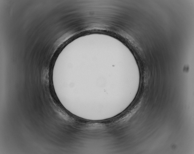 X0000101201113200807251019