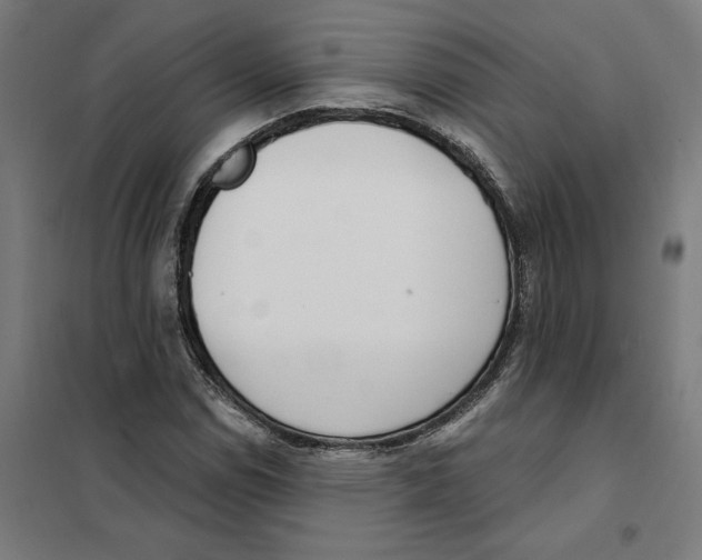 X0000101201114200807251019