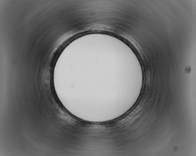 X0000101201115200807251019