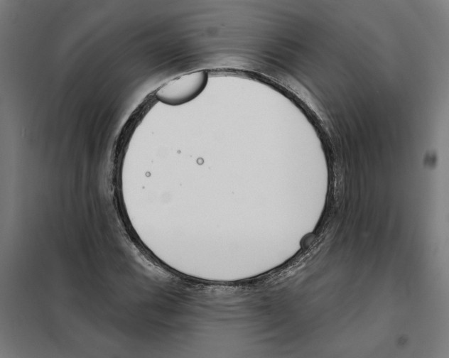 X0000101201116200807251019