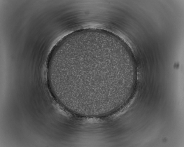 X0000101201117200807251019