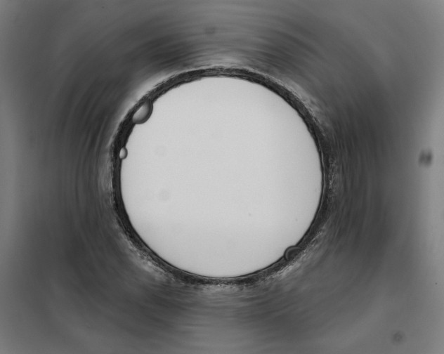 X0000101201118200807251019