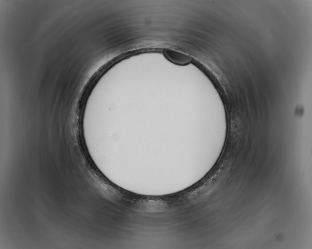 X0000101201119200807251019